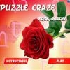 Jeu Puzzle Craze – Rose Garden en plein ecran