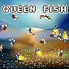 Jeu Queen Fish en plein ecran