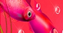 Jeu Red deep fishes slide puzzle