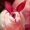 Jeu Red ear rabbit slide puzzle en plein ecran