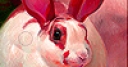 Jeu Red ear rabbit slide puzzle