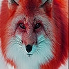 Jeu Red forest fox slide puzzle en plein ecran