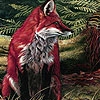 Jeu Red foxes in the wild  woods puzzle en plein ecran