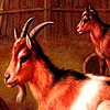 Jeu Red goats in the woods puzzle en plein ecran