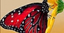 Jeu Red hungry butterfly puzzle