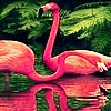 Jeu Red ocean flamingos puzzle en plein ecran