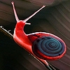 Jeu Red snail puzzle en plein ecran