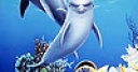 Jeu Sea and dolphins puzzle