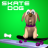 Skate Dog Skateboarding