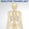 Jeu Skeleton Transplant en plein ecran