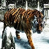 Jeu Snow and tiger slide puzzle en plein ecran