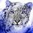 Snow leopards in mountain puzzle
