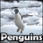 SSSG – Penguins