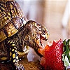 Jeu Strawberry and turtle slide puzzle en plein ecran
