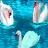 Swans in sea puzzle