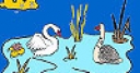 Jeu Swans in the lake coloring