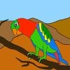 Jeu Sweet Parrot Coloring en plein ecran
