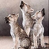 Jeu Three cute wolf slide puzzle en plein ecran