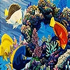 Jeu Tropical colorful fishes puzzle en plein ecran
