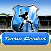 Jeu Turbo Cricket en plein ecran