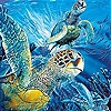 Jeu Turtles  in the ocean slide puzzle en plein ecran