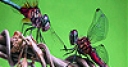 Jeu Two hungry flies puzzle