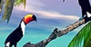 Jeu Two toucan in the sea slide puzzle