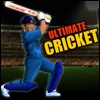 Jeu Ultimate Cricket en plein ecran