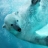 Underwater Polar Bear Slider Puzzle