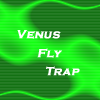 Jeu Venus Fly Trap en plein ecran