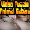 Jeu Video Puzzle: Animal Babies en plein ecran