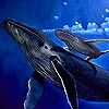 Jeu Whale family in the ocean puzzle en plein ecran