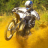 Willy Motocross discovery