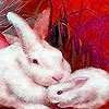 Jeu Winter rabbits puzzle en plein ecran