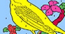 Jeu Yellow hungry canary coloring