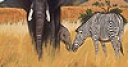 Jeu Zebra and elephants puzzle