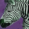 Jeu Zebras in the desert puzzle en plein ecran