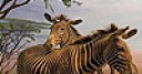 Jeu Zebras in the desert slide puzzle