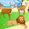 Jeu Zoo Decoration Game en plein ecran